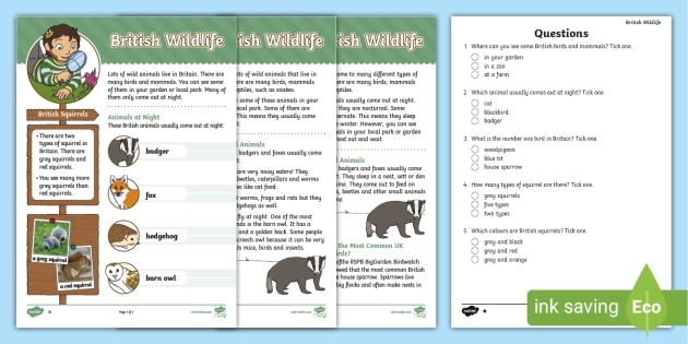 KS1 British Wildlife Differentiated Reading Comprehension Activity