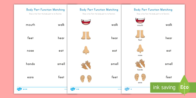 Body Parts Function Matching Differentiated Activity