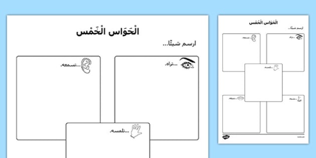 The Five Senses Drawing Worksheet / Worksheet Arabic