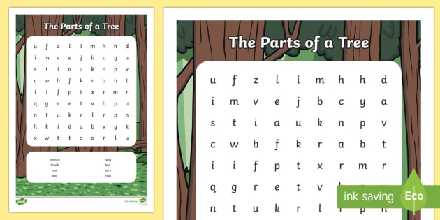 Type of poplar tree crossword clue