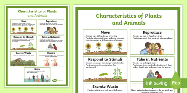 Characteristics of Plants and Animals | Easy to Download