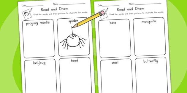 Minibeasts Read and Draw Worksheet (teacher made)