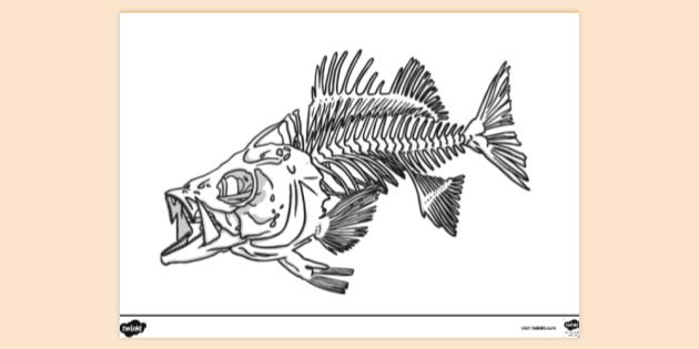 https://images.twinkl.co.uk/tw1n/image/private/t_630/image_repo/27/b6/fish-skeleton-colouring-sheet_ver_1.jpg