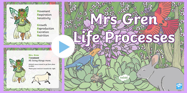 Mrs Gren Powerpoint Life Processes Teacher Made