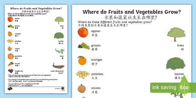 Where Do Fruits And Vegetables Grow Worksheet English Mandarin Chinese Where Do Fruits And Vegetables Grow Worksheet English Mandarin Chinese