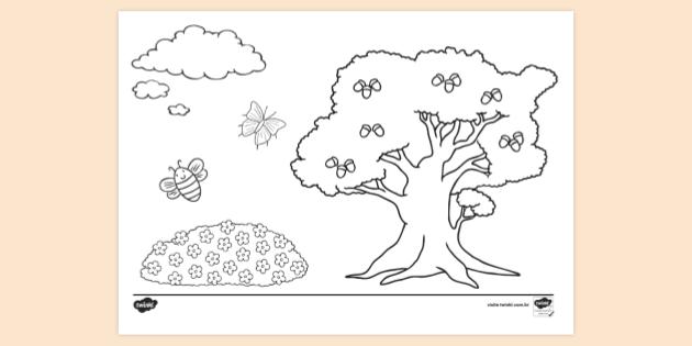 FREE! - Desenho sobre a Primavera para Colorir - Twinkl