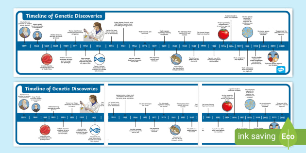 Unit 6 Me and Another Me (Human Cloning) - ppt download