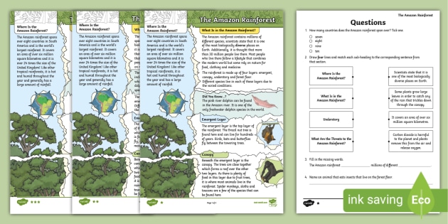 UKS2 Amazon Rainforest Differentiated Reading Comprehension