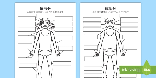 Japanese Body Part Labelling Worksheet