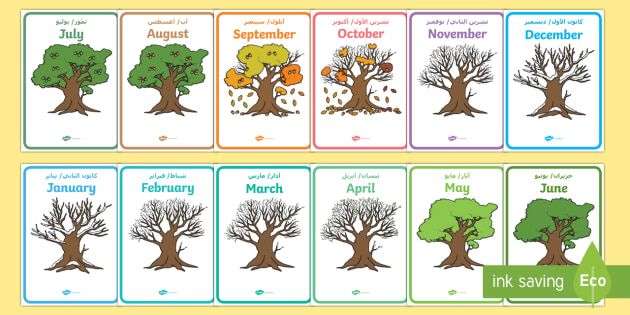 Months of the Year on Oak Trees Display Posters Arabic/English - Months of