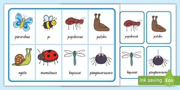 Minibeasts Matching Cards and Board Game Te Reo Māori