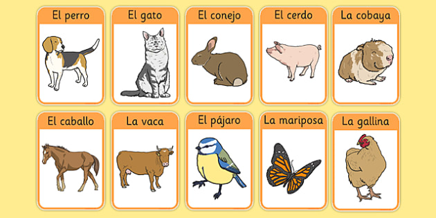 Spanish Animal Flashcards | Language Teaching Resources