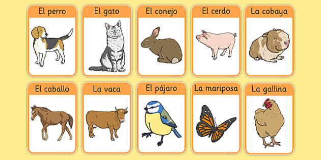 Learning & School Toys & Games English Spanish Animals Flash Cards etna ...