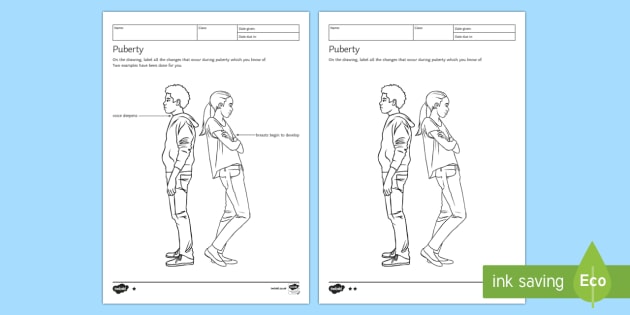 ks3 puberty homework worksheet teacher made