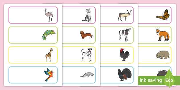 * NEW * Cute Animals Themed Drawer, Peg, Name Labels - Cute Animals Themed