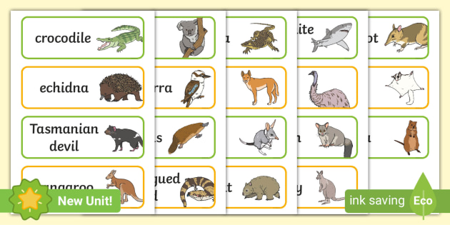 Australian Animals List and Pictures | Word Cards | Twinkl