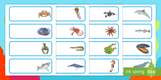 Editable Drawer Peg Name Labels Sea Creatures Under The Sea