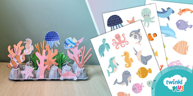 Reef Egg Box Craft