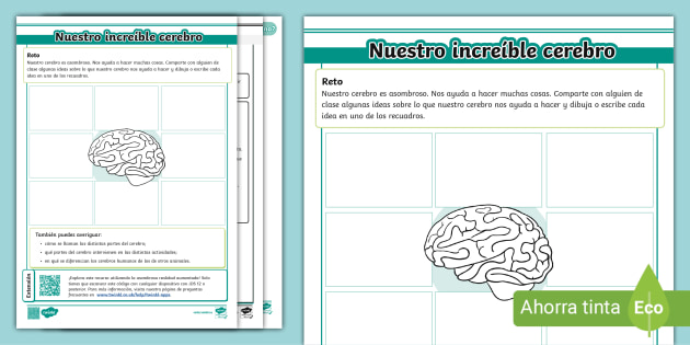 Sistema Nervioso Central Juego De Cartas Nervioso Personas Nerviosa: Más De 34,196 Ilustraciones Y Dibujos De Stock