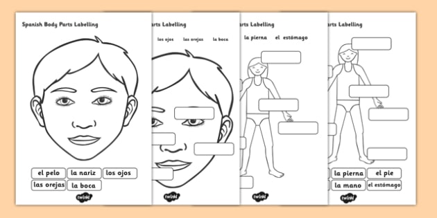 Spanish Body Parts Labelling Worksheet