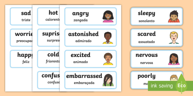 Large Detailed Emotions and Feelings Word Cards English/Portuguese