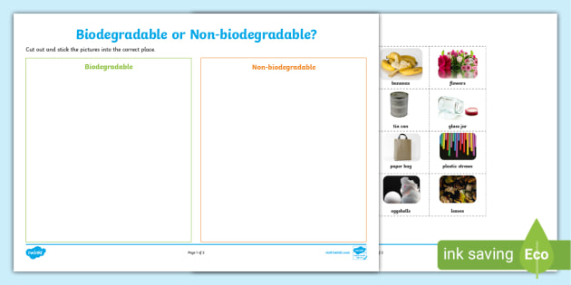 Biodegradable and Non-Biodegradable Waste Sorting Activity