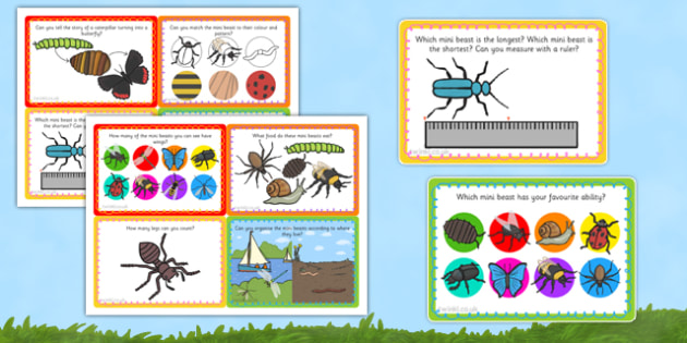 Minibeast Investigation Lab Challenge Cards (teacher made)