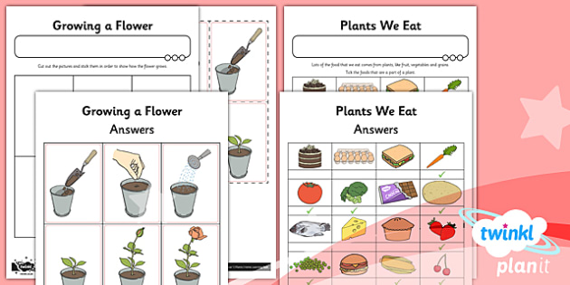 science plants year 1 unit home learning tasks