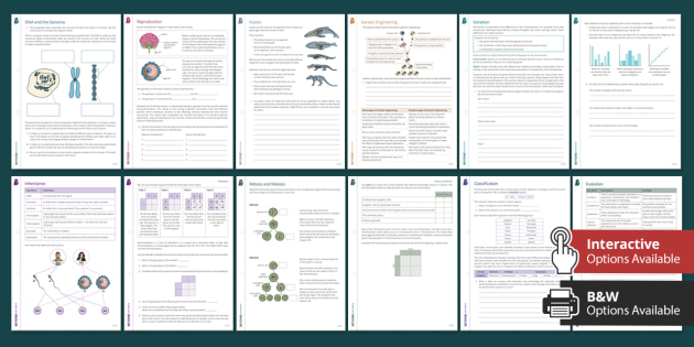 GCSE Inheritance, Variation and Evolution Worksheets