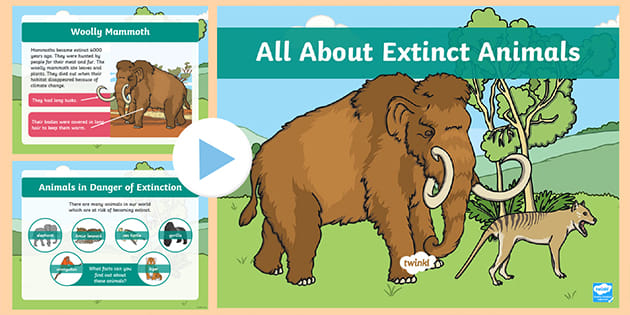 KS1 All About Extinct Animals PowerPoint - Primary Resources