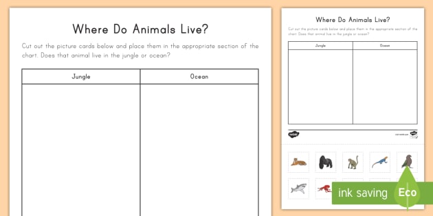 Animal Activity Chart