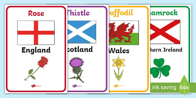 Flowers of Britain and Ireland Display Posters With Flags