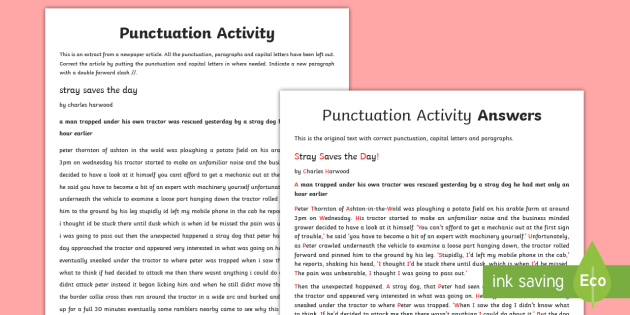 GCSE Punctuation Correction Worksheet / Activity Sheet ...