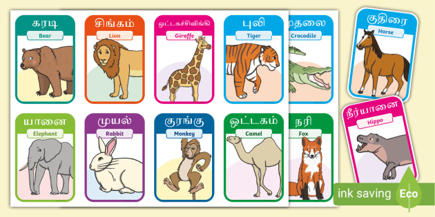 40 Animal Flash Cards in Tamil/English (teacher made)