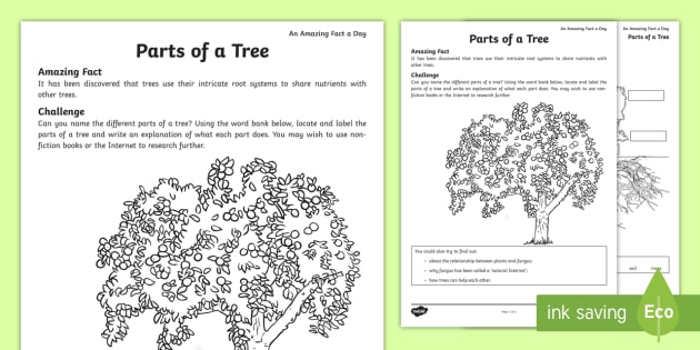 Parts of a Tree Challenge and Vocabulary Worksheet