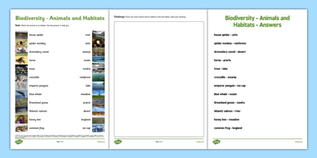 the value of biodiversity worksheet answers