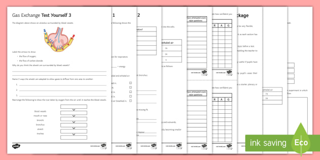 ks3 gas exchange science revision pack beyond
