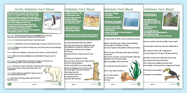 World Habitats Fact Sheets - Facts About Habitats Resources