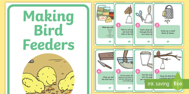 How To Make Bird Feeders Teacher Made