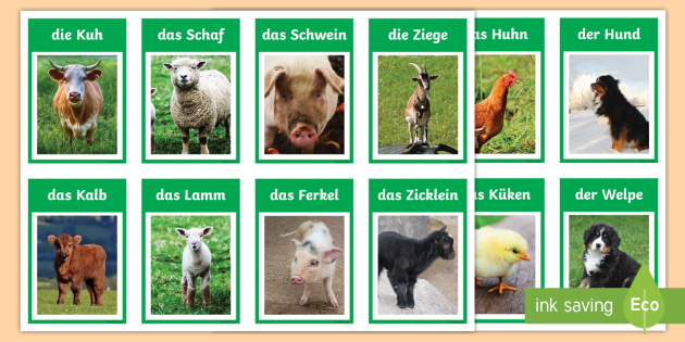 Farm Animals and Their Young Flashcards German - Twinkl