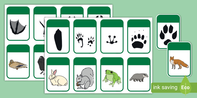 FREE! - Animal Footprint Matching Game | Teacher-Made Resources