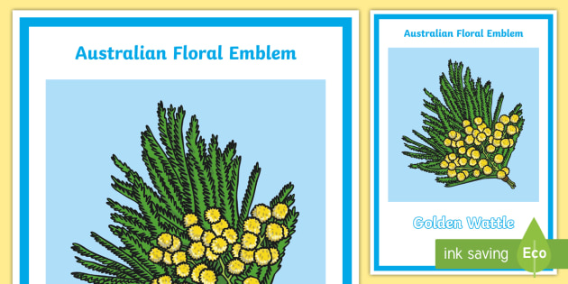 australian-floral-emblem-display-poster-teacher-made