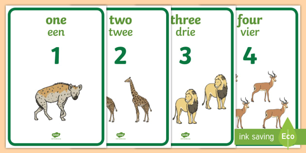 numbers words and picture display posters english afrikaans