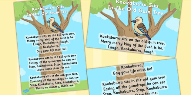 Kookaburra Sits In The Old Gum Tree Lyrics Original Kookaburra Sits In The Old Gum Tree Lyrics