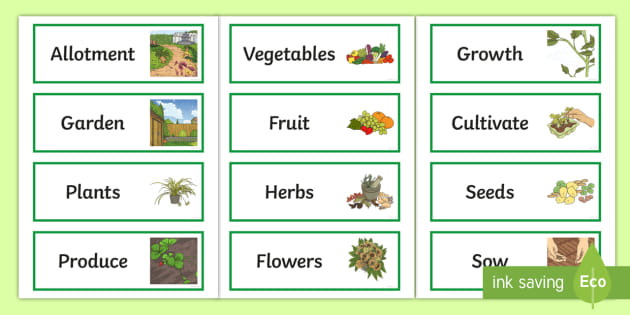 Allotment Vocabulary Display Labels (teacher made)