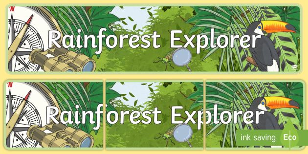 Rainforest Explorer Role Play Display Banner Teacher Made