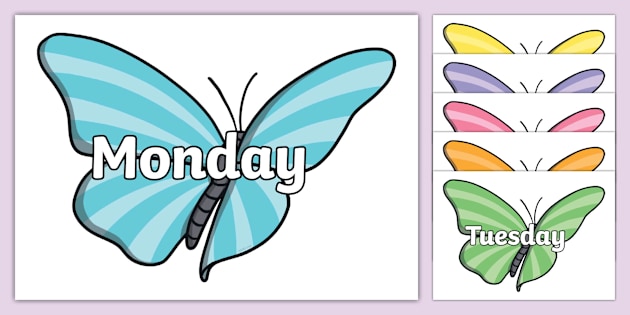 👉 Days Of The Week Butterflies Printable Display Resource