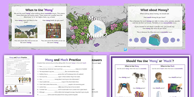 Much and Many Worksheets / Activity Pack