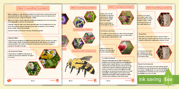 Bee-Friendly Garden Fact File (teacher Made)