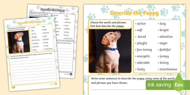 Describe the Puppy Worksheet (teacher made) - Twinkl describe-the-puppy-worksheet-teacher-made-twinkl